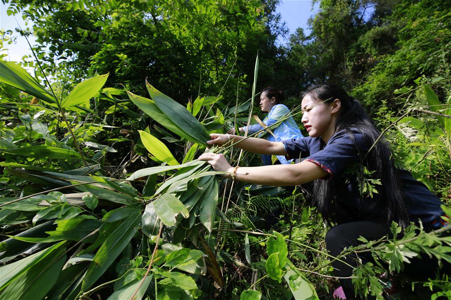#(社會)(3)端午將至粽飄香 #(社會)(3)端午將至粽飄香