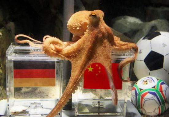 神準章魚哥被網友PS惡搞半決賽中國贏德國?(圖)